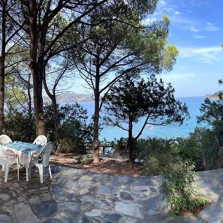 Farfalle Con Strepitosa Scogliera Privata Villa Capo Coda Cavallo